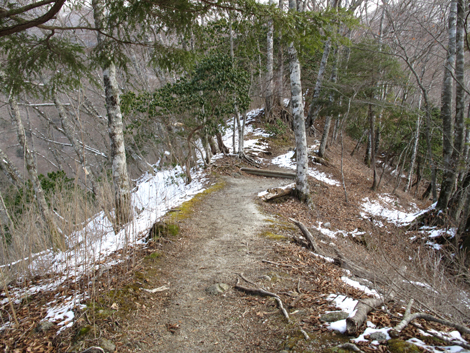 20160218hike (117)